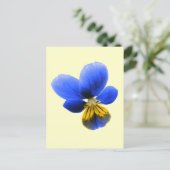 Blue Pansy Postcard Postkarte (Stehend Vorderseite)