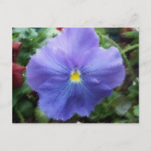 Blue Pansy Postcard Postkarte