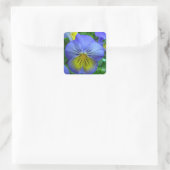 Blue Pansy Quadratischer Aufkleber (Tasche)