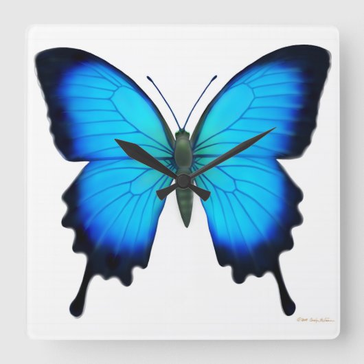 Blue Papilio Ulysses Butterfly Wall Clock Quadratische Wanduhr (Vorderseite)