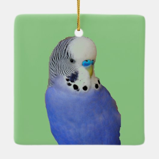 Blue Parakeet Ornament Obelisk (Rückseite)
