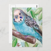 Blue Parakeet Postcard Postkarte (Vorne/Hinten)