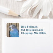 Blue Parakeet Rücksendeadresse (Insitu)