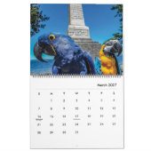 Blue Parrot Books 2026 Kalender (Mär 2027)