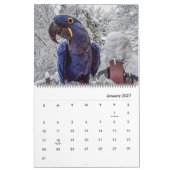 Blue Parrot Books 2026 Kalender (Jan 2027)