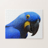 Blue Parrot Fotografie Puzzle (Horizontal)
