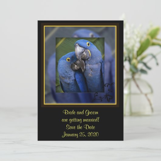 Blue Parrot Wedding Save The Date (Stehend Vorderseite)
