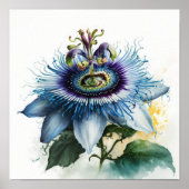 Blue Passion Blume Art Print Poster (Vorne)