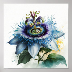 Blue Passion Blume Art Print Poster