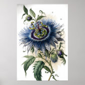 Blue Passion Blume Art Print Poster (Vorne)