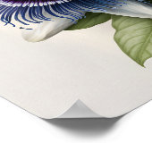 Blue Passion Blume Art Print Poster (Ecke)