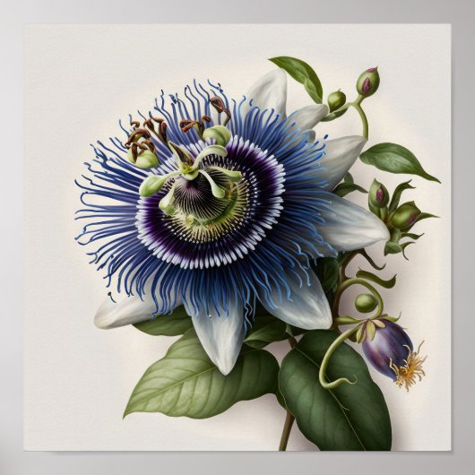 Blue Passion Blume Art Print Poster (Vorne)