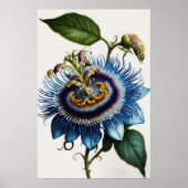 Blue Passion Blume Art Print Poster (Vorne)