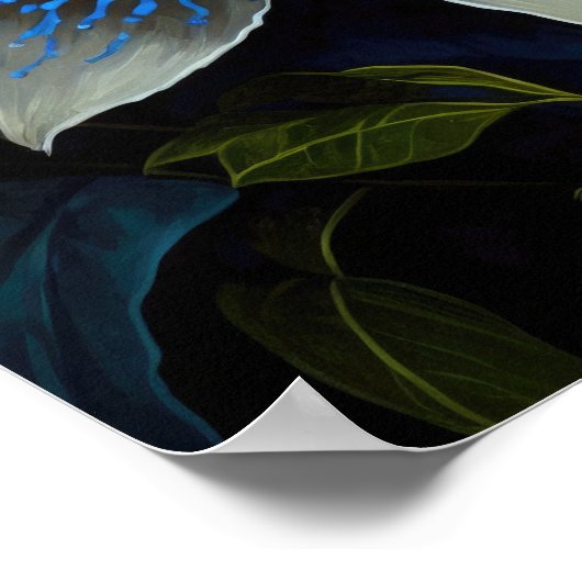 Blue Passion Blume Art Print Poster (Ecke)