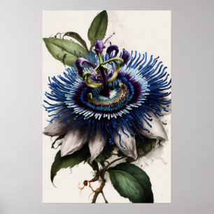 Blue Passion Blume Art Print Poster