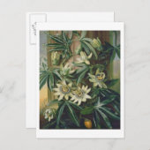 Blue Passion Flower for the Temple of Flora' by R Postkarte (Vorne/Hinten)