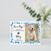 Blue Paw druckt Knochen neuer Hund Ankündigungspostkarte (Stehend Vorderseite)