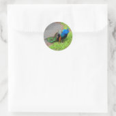 Blue Peacock #1 Stickers (Tasche)
