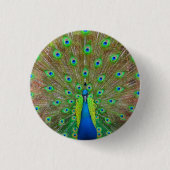 Blue Peacock #3 Button (Vorderseite)