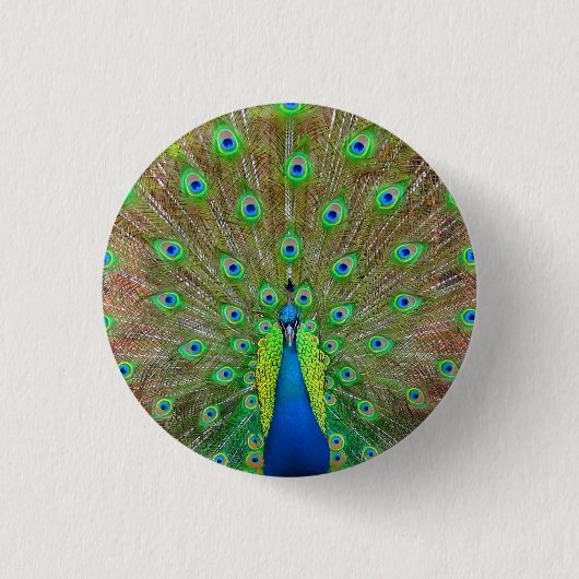 Blue Peacock #3 Button (Vorderseite)