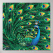 Blue Peacock Bird Poster (Vorne)