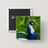 Blue Peacock Button (Vorne & Hinten)