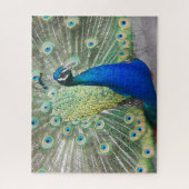 Blue Peacock Fantail Feathers Foto Puzzle (Vertikal)