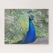 Blue Peacock Fantail Feathers Foto Puzzle (Horizontal)