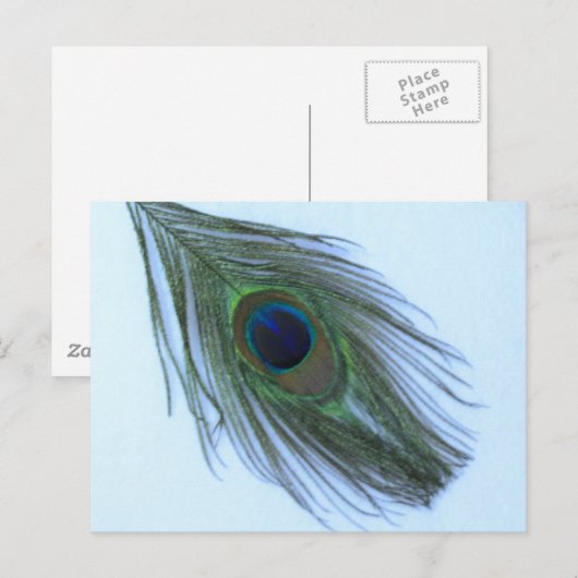Blue Peacock Feather Postkarte (Vorne/Hinten)