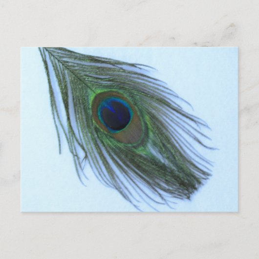 Blue Peacock Feather Postkarte (Vorderseite)
