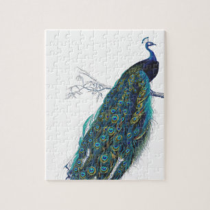 Blue Peacock mit schönen Federn aus Schwanz Puzzle