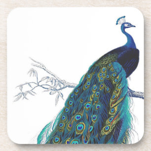 Blue Peacock mit wunderschönen Federn aus Schwanz Getränkeuntersetzer