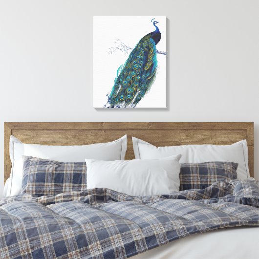 Blue Peacock mit wunderschönen Federn aus Schwanz Leinwanddruck (Insitu (Schlafzimmer))