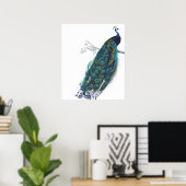 Blue Peacock mit wunderschönen Federn aus Schwanz Poster (Heimbüro)