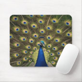 Blue Peacock Mousepad (Mit Mouse)