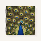 Blue Peacock Notizblock (Vorderseite)