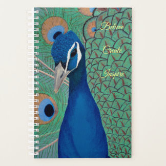 Blue Peacock Planer