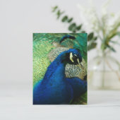 Blue Peacock Postcard Postkarte (Stehend Vorderseite)