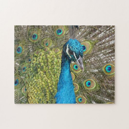 Blue Peacock Puzzle (Horizontal)