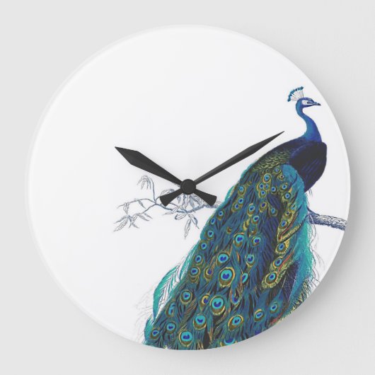 Blue Peacock with beautiful tail feathers Große Wanduhr (Vorderseite)