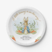 Blue Peter Rabbit Baby Dusche Pappteller (Vorderseite)