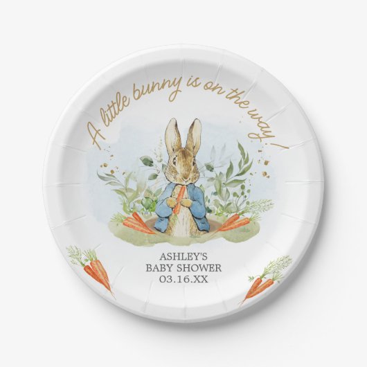 Blue Peter Rabbit Baby Dusche Pappteller (Vorderseite)
