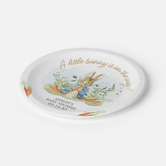 Blue Peter Rabbit Baby Dusche Pappteller (Schrägansicht)