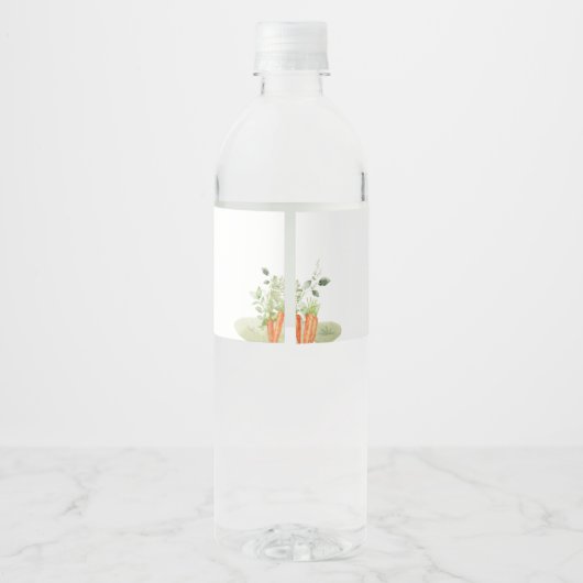 Blue Peter Rabbit Baby Dusche Wasserflaschenetikett (Rückseite)