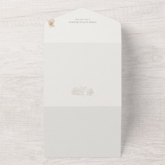 Blue Peter the Rabbit Einige SonnenBaby-Dusche All In One Einladung (Außenbereich)