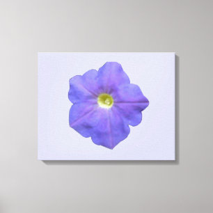 Blue Petunia Canvas Print Leinwanddruck