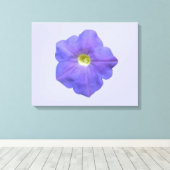 Blue Petunia Canvas Print Leinwanddruck (Insitu (Holzboden))