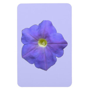 Blue Petunia Premium Magnet