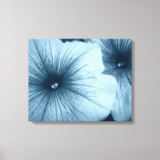 Blue Petunias Leinwanddruck (Vorderseite)