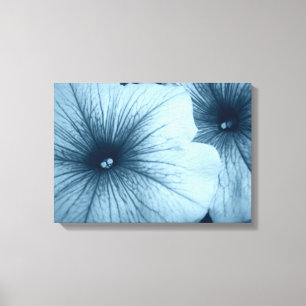 Blue Petunias Leinwanddruck